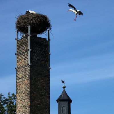 antiquitaeten-berlin-tilman-hoche-muehle-36